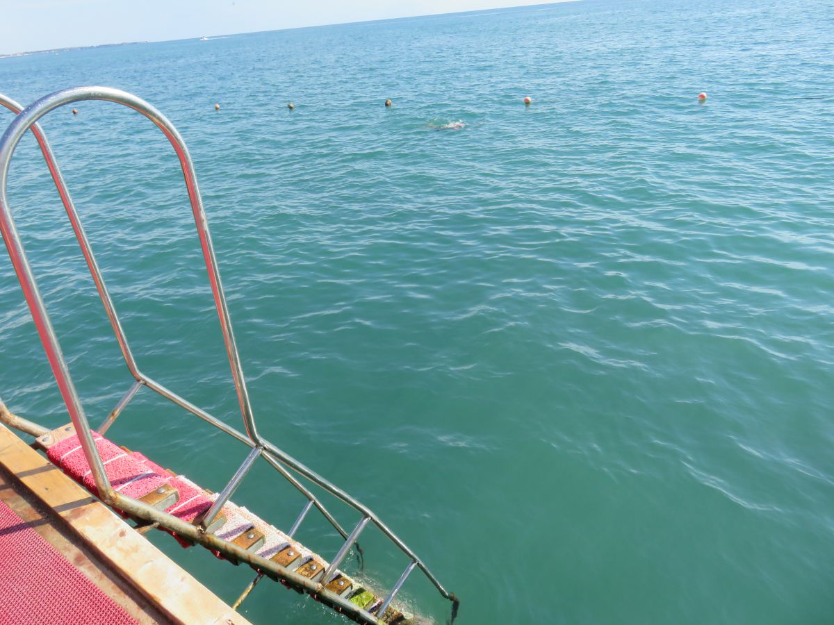 imagini hotel Von Elite